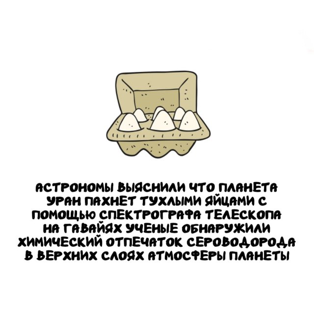 Интересные факты на все случаи жизни