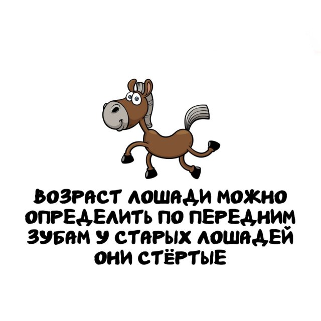 Интересные факты на все случаи жизни