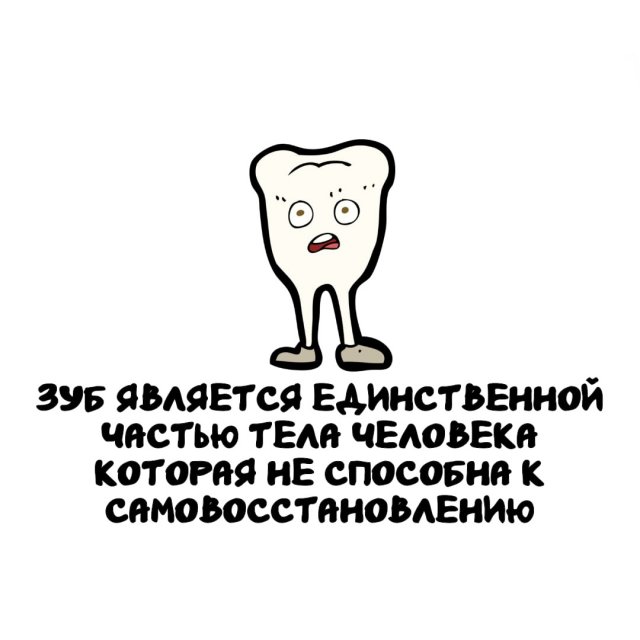 Интересные факты на все случаи жизни