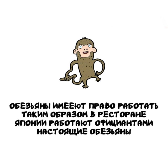 Интересные факты на все случаи жизни