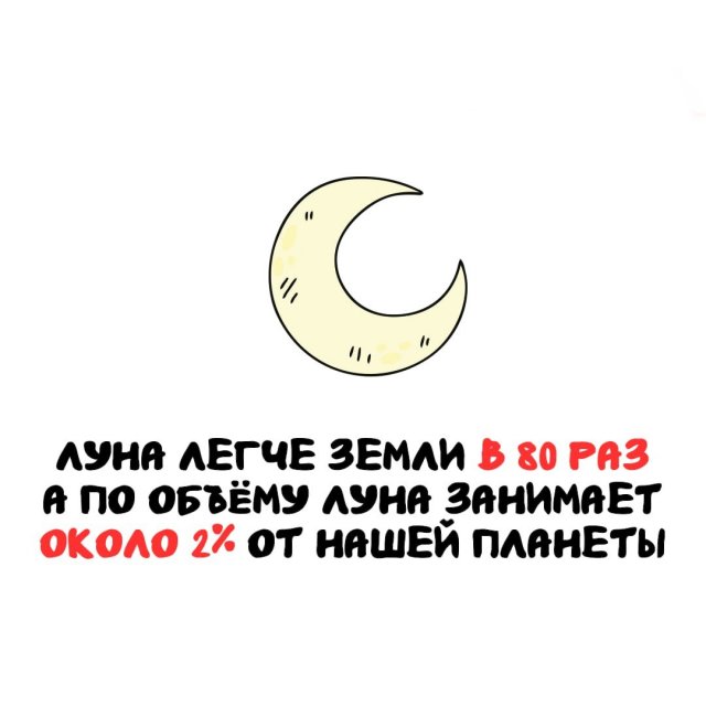 Интересные факты на все случаи жизни