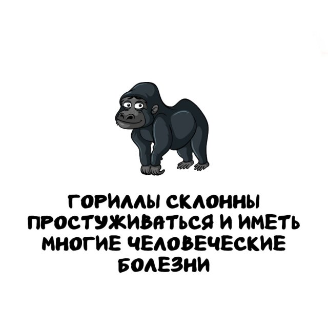 Интересные факты на все случаи жизни