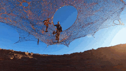 Подборка гифок -  26.11.2025