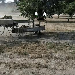 Подборка гифок -  26.11.2025