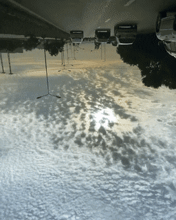 Подборка гифок -  26.11.2025