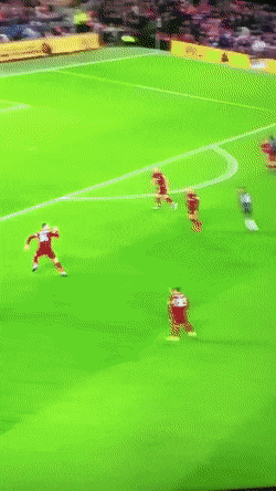 Подборка гифок -  26.11.2025