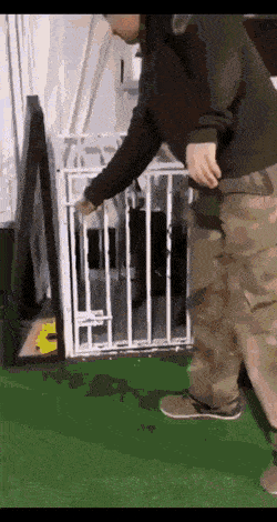 Подборка гифок -  26.11.2025