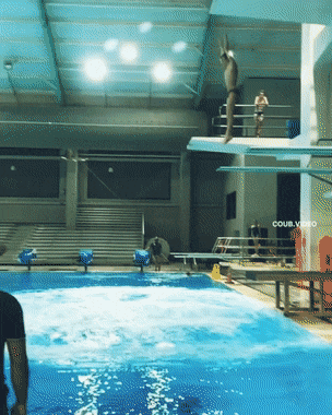 Подборка гифок -  26.11.2025