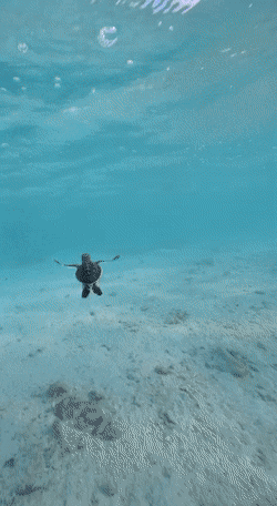 Подборка гифок -  26.11.2025