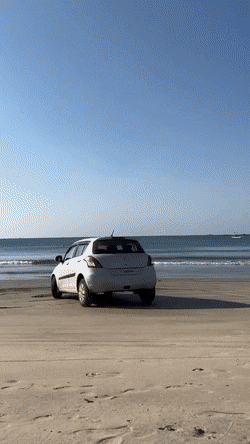 Подборка гифок -  26.11.2025