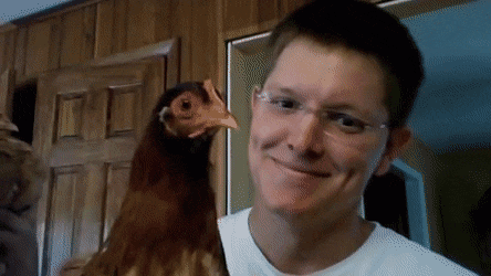 Подборка гифок -  26.11.2025