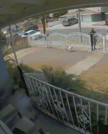 Подборка гифок -  26.11.2025