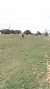 Подборка гифок -  26.11.2025