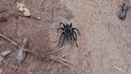 Подборка гифок -  26.11.2025