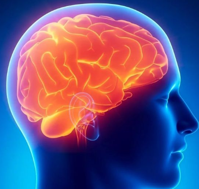 Дневной сон замедляет старение