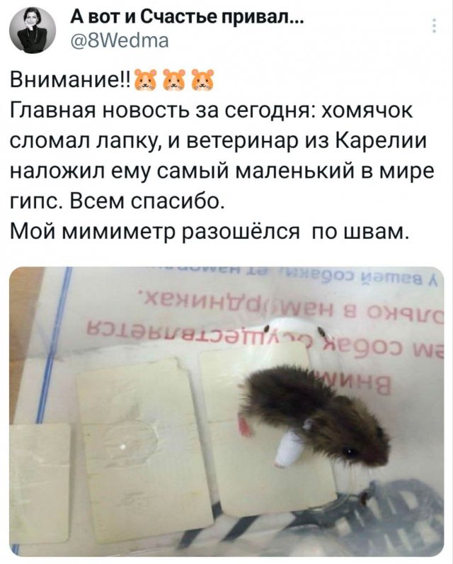 Подборка забавных твитов обо всем