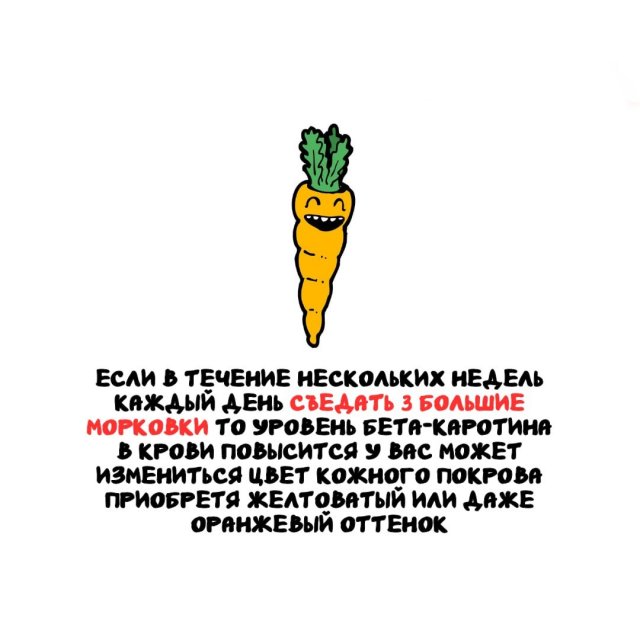 Интересные факты на все случаи жизни