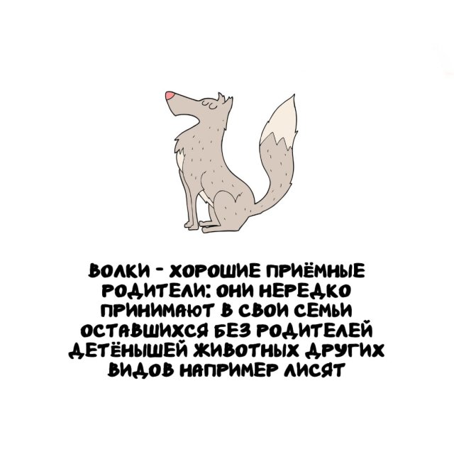 Интересные факты на все случаи жизни