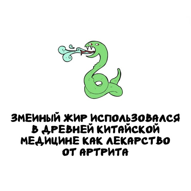 Интересные факты на все случаи жизни