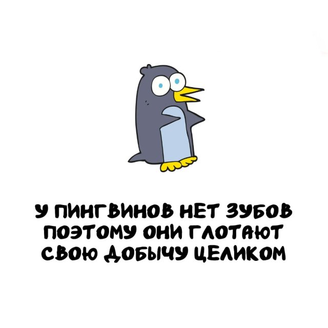 Интересные факты на все случаи жизни