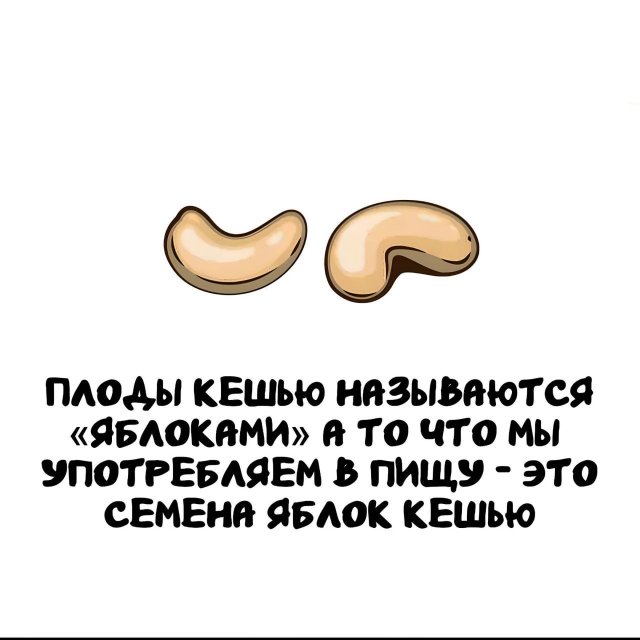 Интересные факты на все случаи жизни