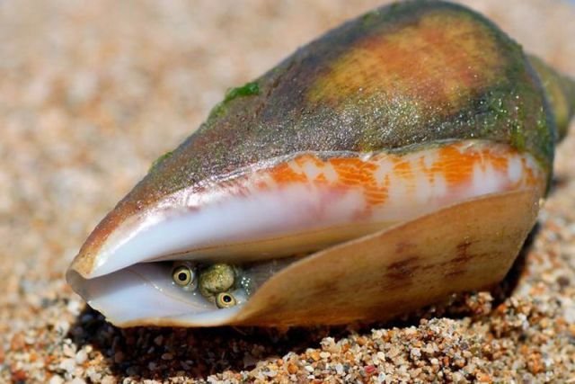 Подборка картинок. Вечерний выпуск - 27.11.2025