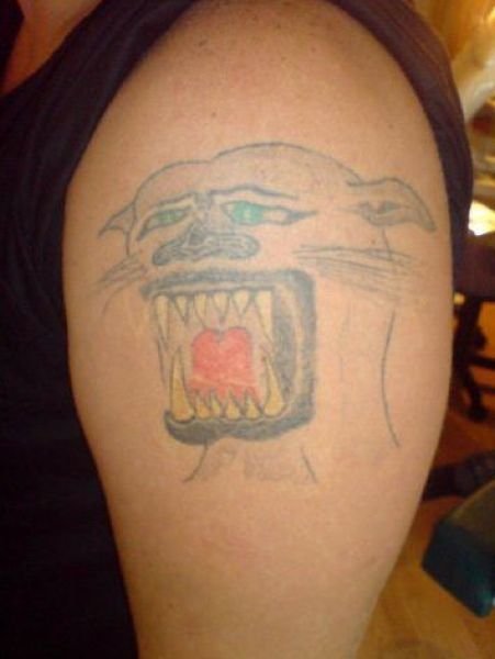 Подборка картинок. Вечерний выпуск - 27.11.2025