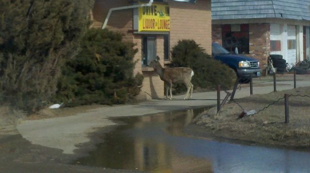 Подборка картинок. Вечерний выпуск - 27.11.2025