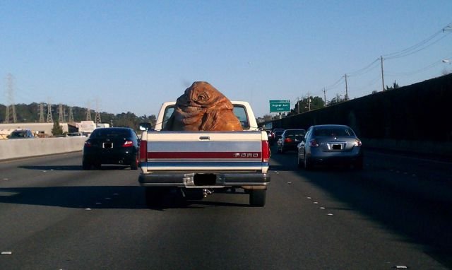 Подборка картинок. Вечерний выпуск - 27.11.2025