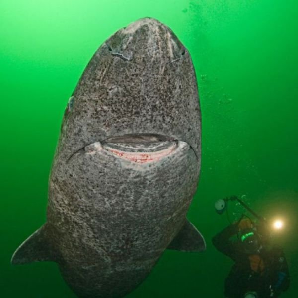 Подборка картинок. Вечерний выпуск - 27.11.2025