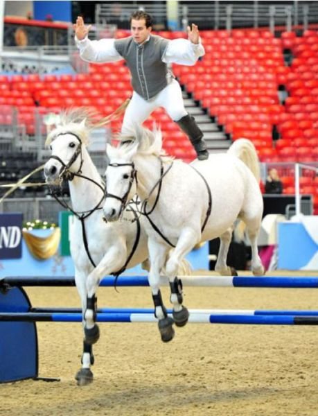 Подборка картинок. Вечерний выпуск - 27.11.2025