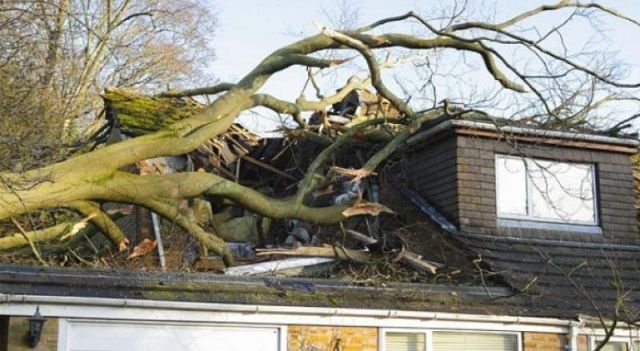 Подборка картинок. Вечерний выпуск - 27.11.2025