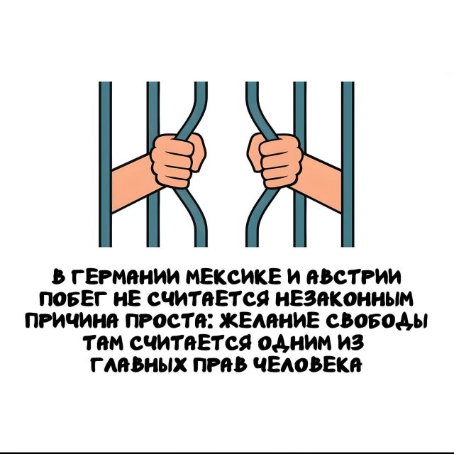 Интересные факты на все случаи жизни