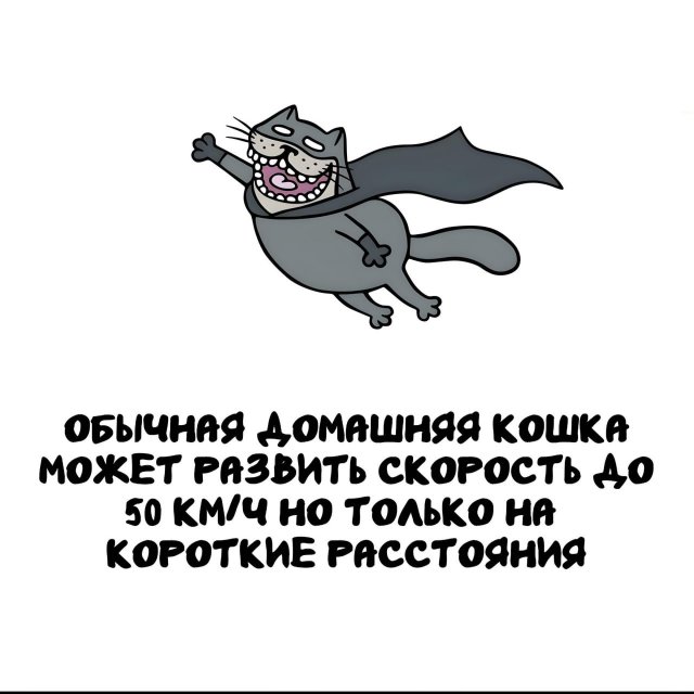 Интересные факты на все случаи жизни