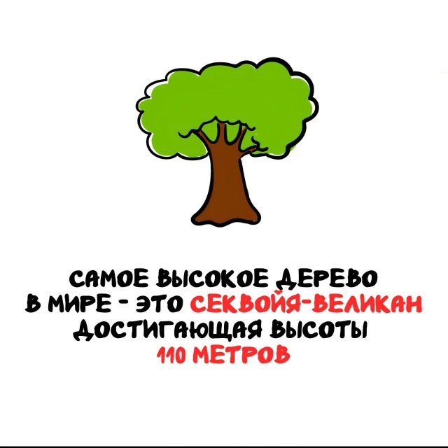 Интересные факты на все случаи жизни