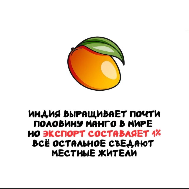 Интересные факты на все случаи жизни