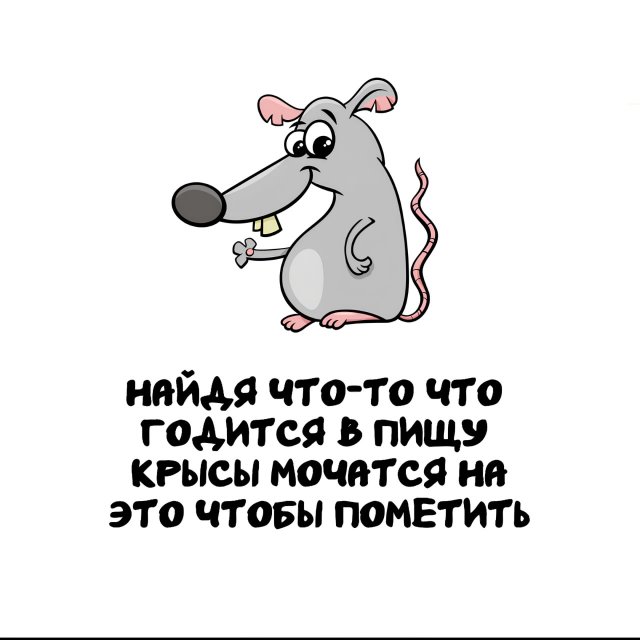 Интересные факты на все случаи жизни