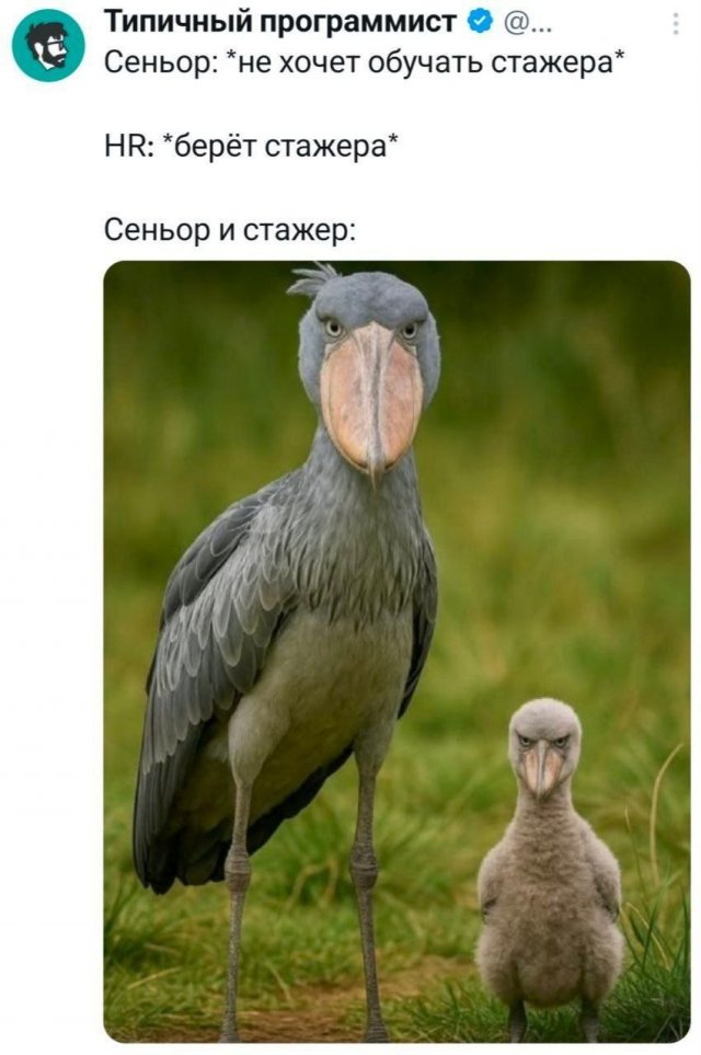 Подборка забавных твитов обо всем