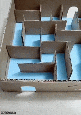 Подборка гифок -  28.11.2025