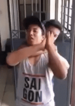 Подборка гифок -  28.11.2025