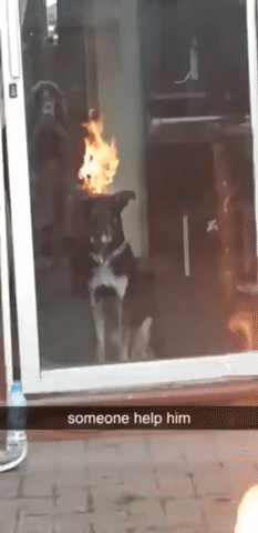 Подборка гифок -  28.11.2025