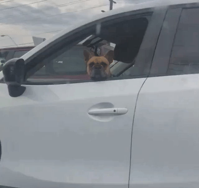 Подборка гифок -  28.11.2025