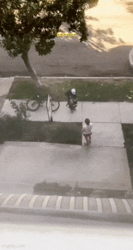 Подборка гифок -  28.11.2025