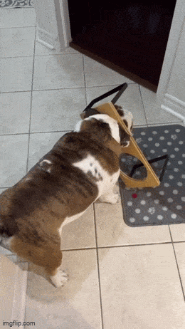 Подборка гифок -  28.11.2025