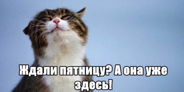 Трынделка - 28.11.2025