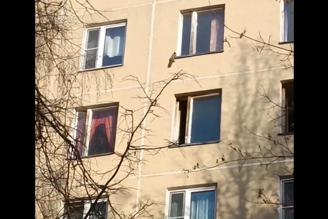 А к тем, кто будет плохо себя вести, в гости придет белочка