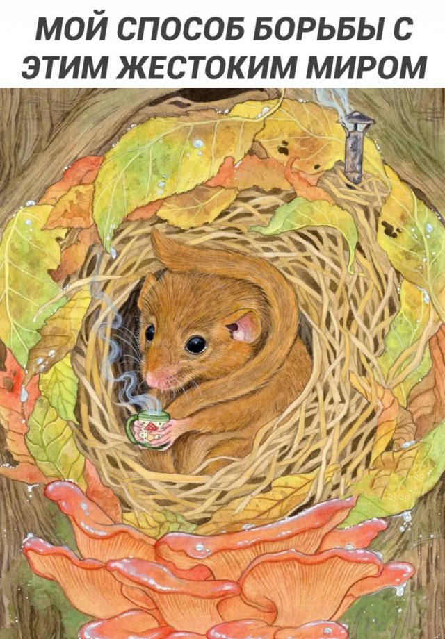 Лучшие шутки и мемы из Сети - 28.11.2025