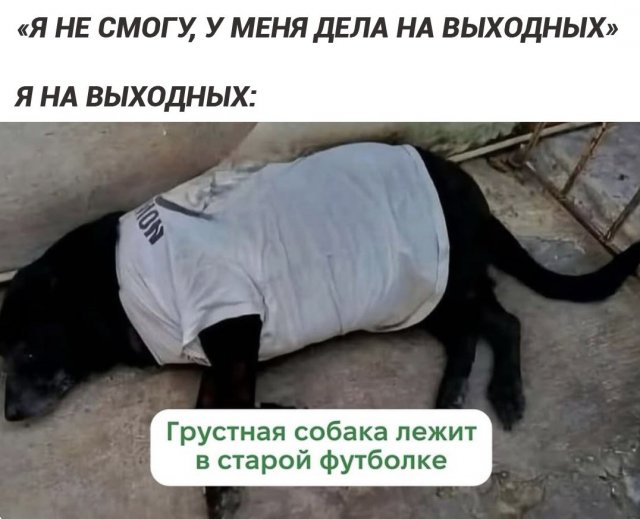 Лучшие шутки и мемы из Сети - 28.11.2025