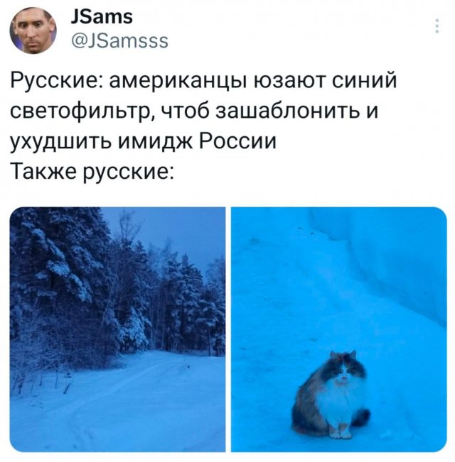 Подборка забавных твитов обо всем