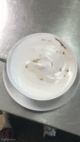 Подборка гифок -  01.12.2025